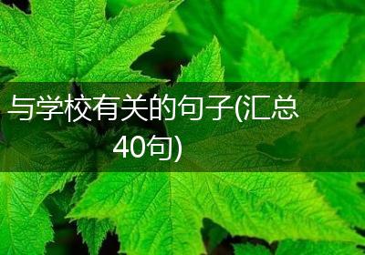 与学校有关的句子(汇总40句)