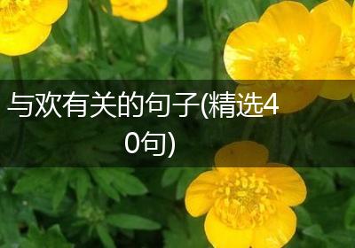 与欢有关的句子(精选40句)