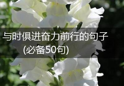 与时俱进奋力前行的句子(必备50句)