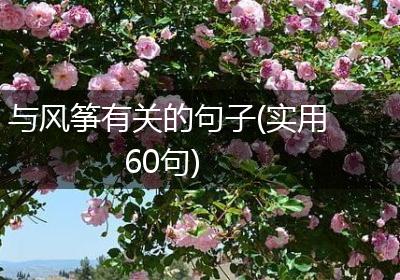 与风筝有关的句子(实用60句)