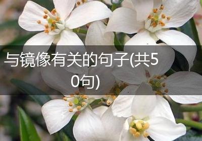 与镜像有关的句子(共50句)