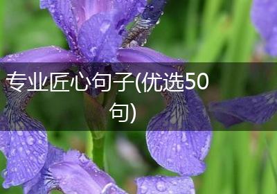专业匠心句子(优选50句)
