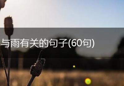 与雨有关的句子(60句)