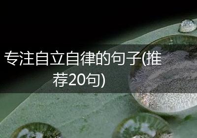 专注自立自律的句子(推荐20句)