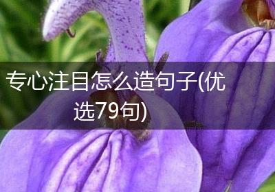 专心注目怎么造句子(优选79句)