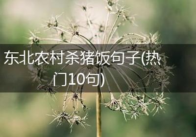 东北农村杀猪饭句子(热门10句)