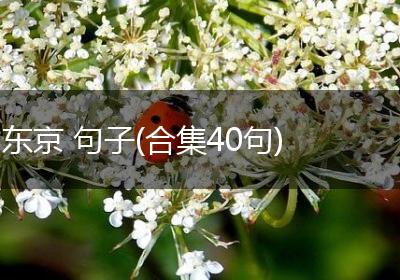 东京 句子(合集40句)