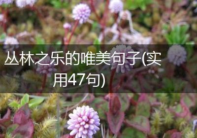 丛林之乐的唯美句子(实用47句)