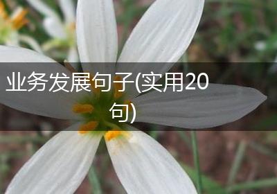 业务发展句子(实用20句)