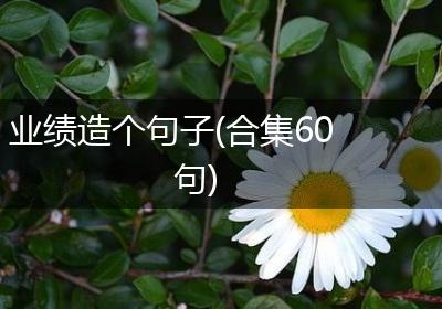 业绩造个句子(合集60句)