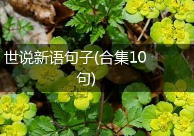 世说新语句子(合集10句)