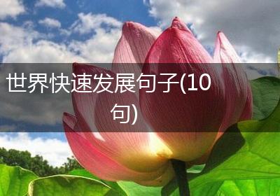 世界快速发展句子(10句)