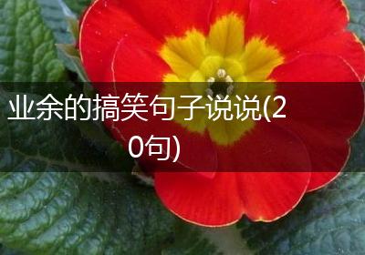 业余的搞笑句子说说(20句)