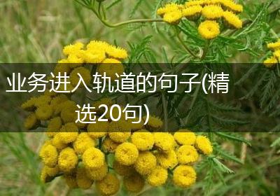 业务进入轨道的句子(精选20句)