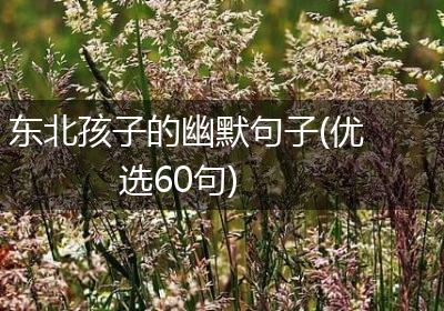 东北孩子的幽默句子(优选60句)