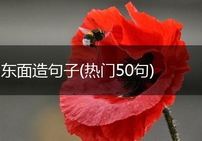 东面造句子(热门50句)