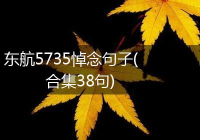 东航5735悼念句子(合集38句)