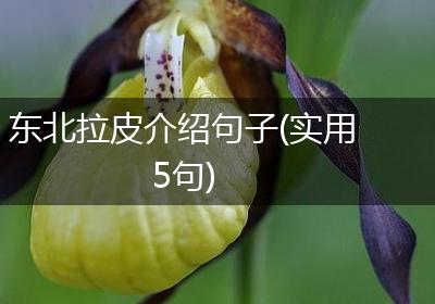 东北拉皮介绍句子(实用5句)
