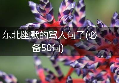 东北幽默的骂人句子(必备50句)