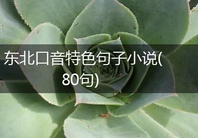 东北口音特色句子小说(80句)
