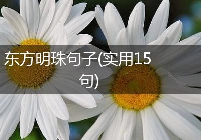 东方明珠句子(实用15句)