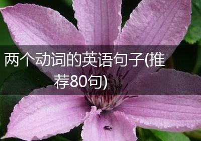 两个动词的英语句子(推荐80句)