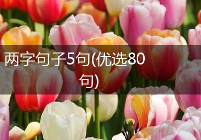 两字句子5句(优选80句)