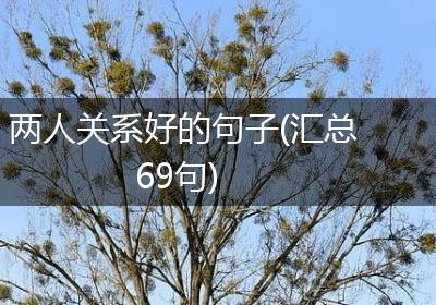 两人关系好的句子(汇总69句)