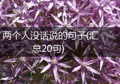 两个人没话说的句子(汇总20句)