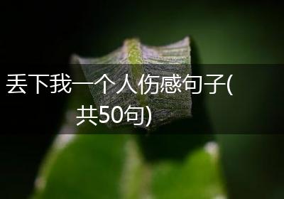 丢下我一个人伤感句子(共50句)