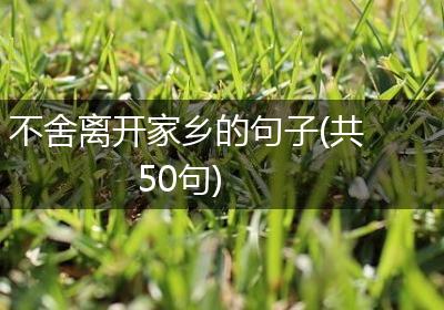 不舍离开家乡的句子(共50句)