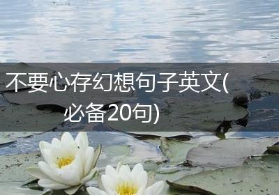 不要心存幻想句子英文(必备20句)