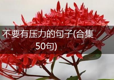 不要有压力的句子(合集50句)