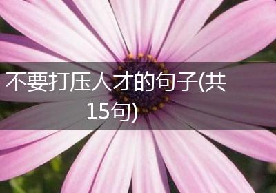 不要打压人才的句子(共15句)