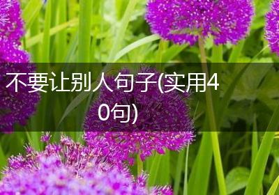 不要让别人句子(实用40句)