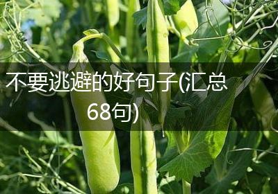 不要逃避的好句子(汇总68句)