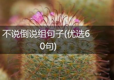 不说倒说组句子(优选60句)