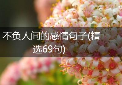 不负人间的感情句子(精选69句)