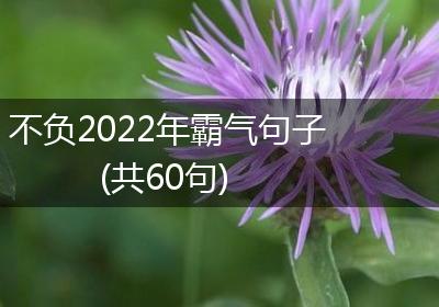 不负2022年霸气句子(共60句)