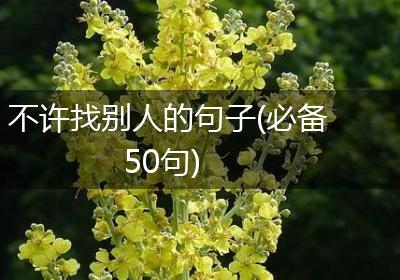 不许找别人的句子(必备50句)