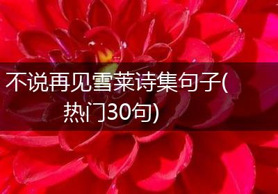 不说再见雪莱诗集句子(热门30句)