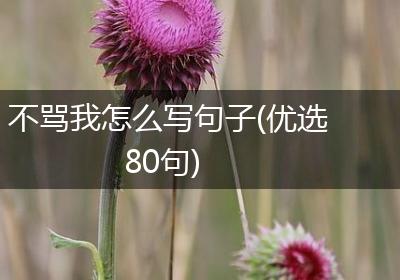 不骂我怎么写句子(优选80句)