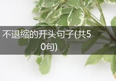 不退缩的开头句子(共50句)