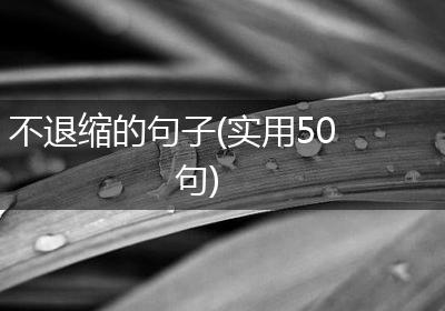 不退缩的句子(实用50句)