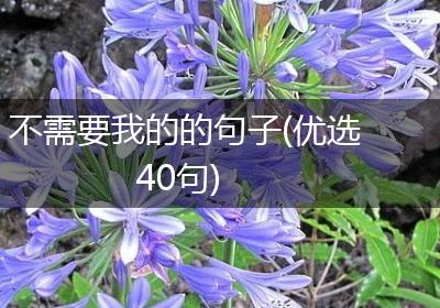 不需要我的的句子(优选40句)