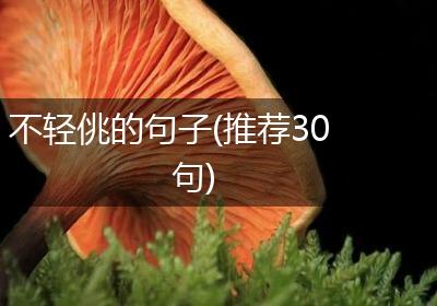 不轻佻的句子(推荐30句)