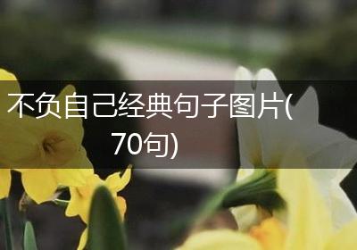 不负自己经典句子图片(70句)