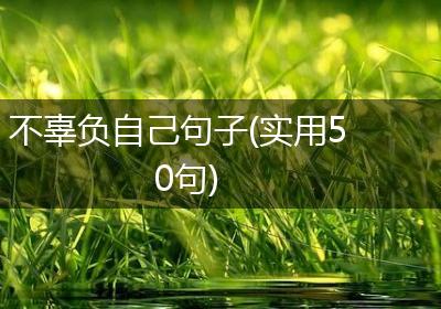 不辜负自己句子(实用50句)
