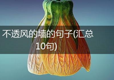 不透风的墙的句子(汇总10句)