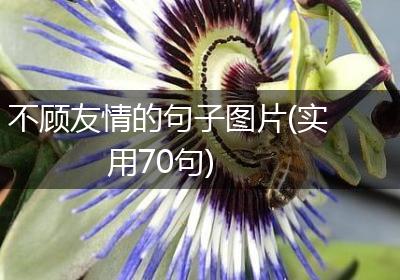 不顾友情的句子图片(实用70句)